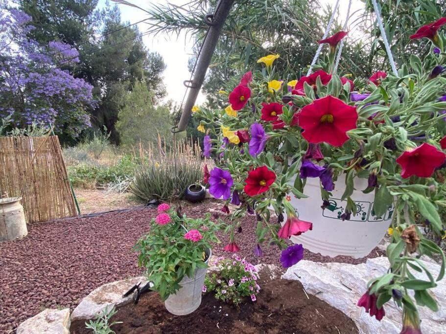 Bit Cabin Near The Airport Kfar Daniel Extérieur photo